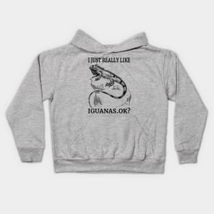 I Just Really Like Iguanas, Ok? Cool Reptiles Fan Kids Hoodie